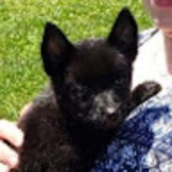 Meet your Posher, Lynn - Picture 1 of 1